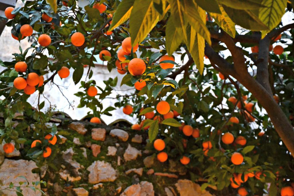Giardino Del Sole Apartment Taormina Luaran gambar